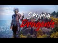 Skyrim Dragonis 1.1 | Продолжаем делать сборку