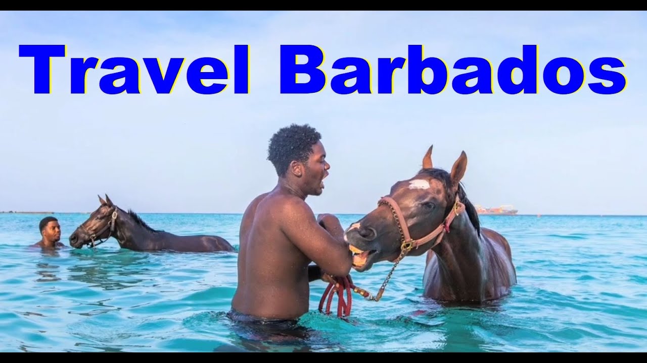 travel agency barbados