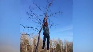 Beceriksiz Insanların Komik Halleri