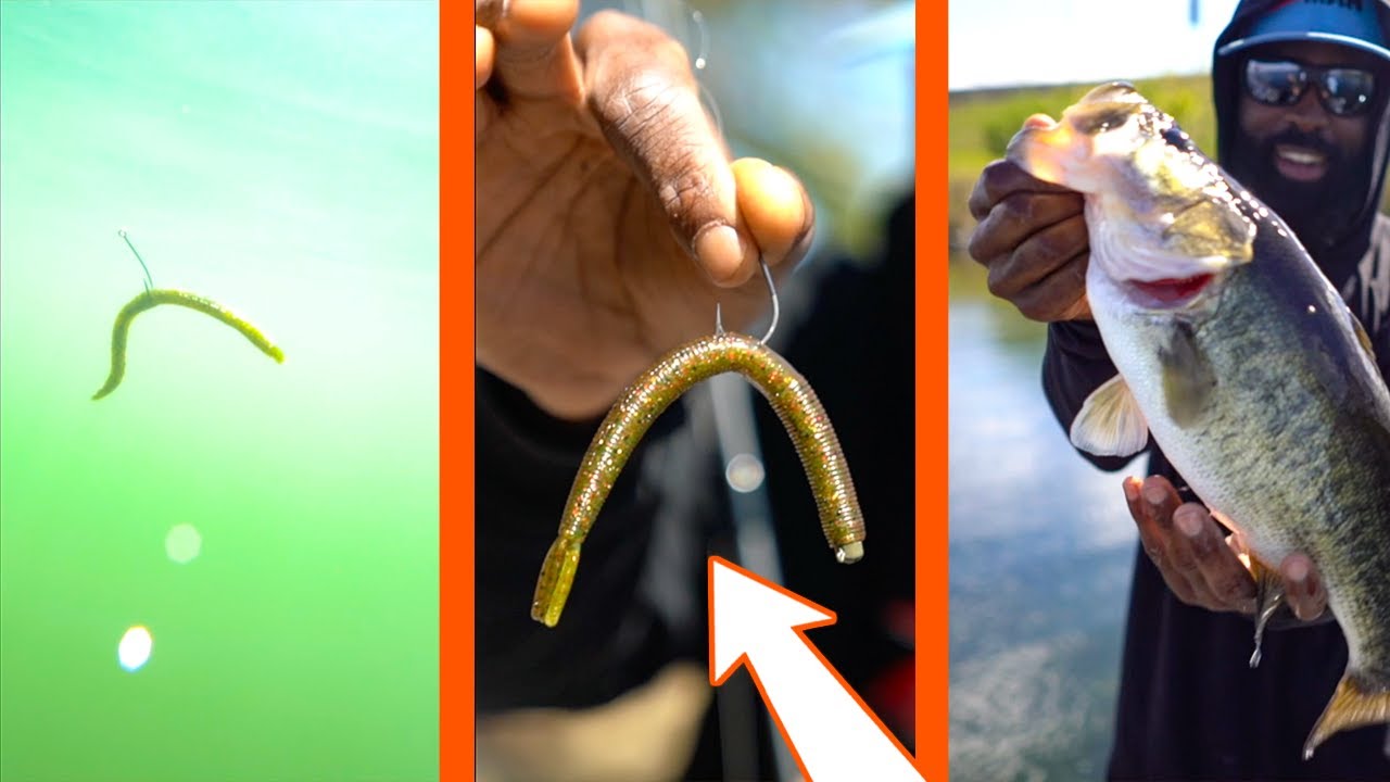 Best Way To Rig Senko Worms for bass fishing! #shorts