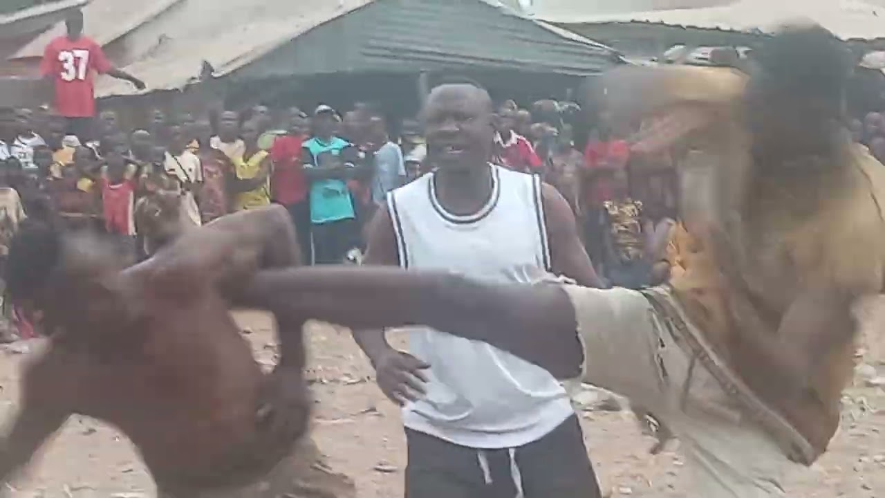 Damben Gargajiya Gido Chari Entertainment Dorowa 