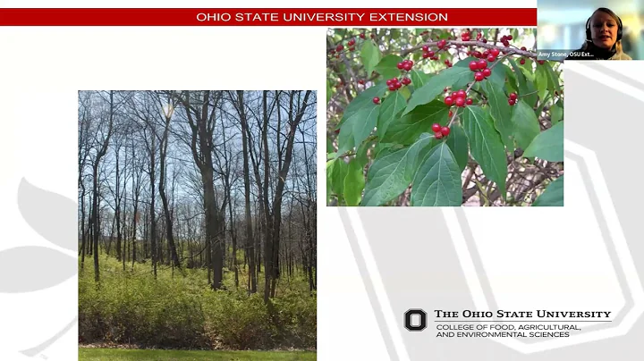 Amy Stone: Invasive Plants (focus on Ohio)