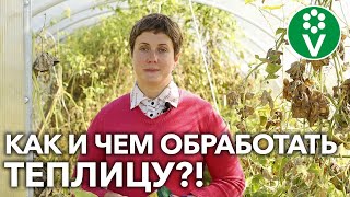картинка: ДЕЗИНФЕКЦИЯ ТЕПЛИЦЫ ОСЕНЬЮ! Как подготовить к зиме и восстановить плодородие?