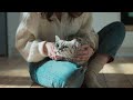 Whiskas campaign purr more  by amv bbdo