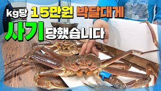 Korean Premium vs Korean Normal vs Russia, Comparing Snow Crab