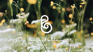 봄이 오는 소리♥ 따뜻함을 담아낸 피아노 연주곡