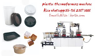 Automatic Plastic Cup Lid Thermoforming Machine Smart And Final Plastic Cups With Lids