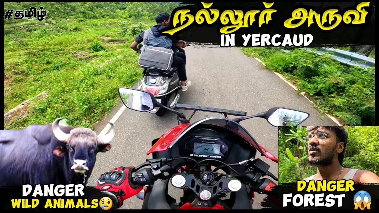 Nallur aruvi 🌊| yercaud 😍|Danger wild animals 😥| Danger waterfalls😮