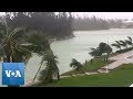 Hurricane Dorian Strong Waves Blow Trees in Bahamas