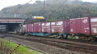 69列車JR貨物桃太郎EF210−334押し🍑