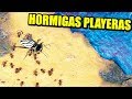 HORMIGAS EN LA PLAYA DE NOCHE - EMPIRES OF THE UNDERGROWTH | Gameplay Español