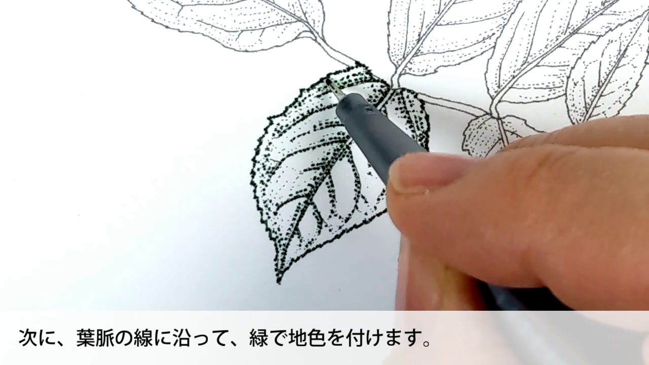 トリプラスで点描画ぬり絵を楽しみましょう ステッドラー日本 公式サイト