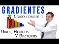 GRADIENTES: La clave para combatir VIRUS-HONGOS-BACTERIAS