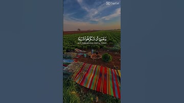 إستمع القرآن الكريم اذا تحب القرآن اكتب استغفر الله بالتعليقات ❤️❤️❤️