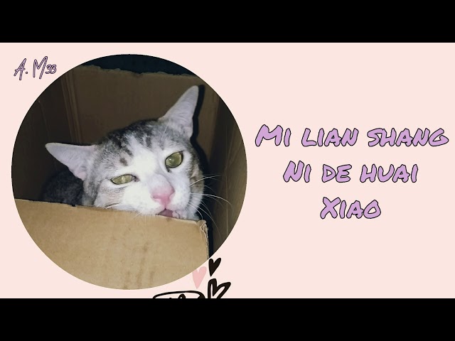 Learn to meow lyrics - Xiao Pan Pan & Xiao Feng Feng class=