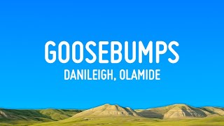 DaniLeigh, Olamide - Goosebumps (Lyrics)