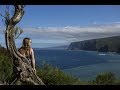 Tour Trek | Hawaii with Wanderlust Chloe pt. 2