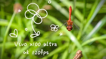 Macro slow mo vivo x100 ultra 4k 120fps