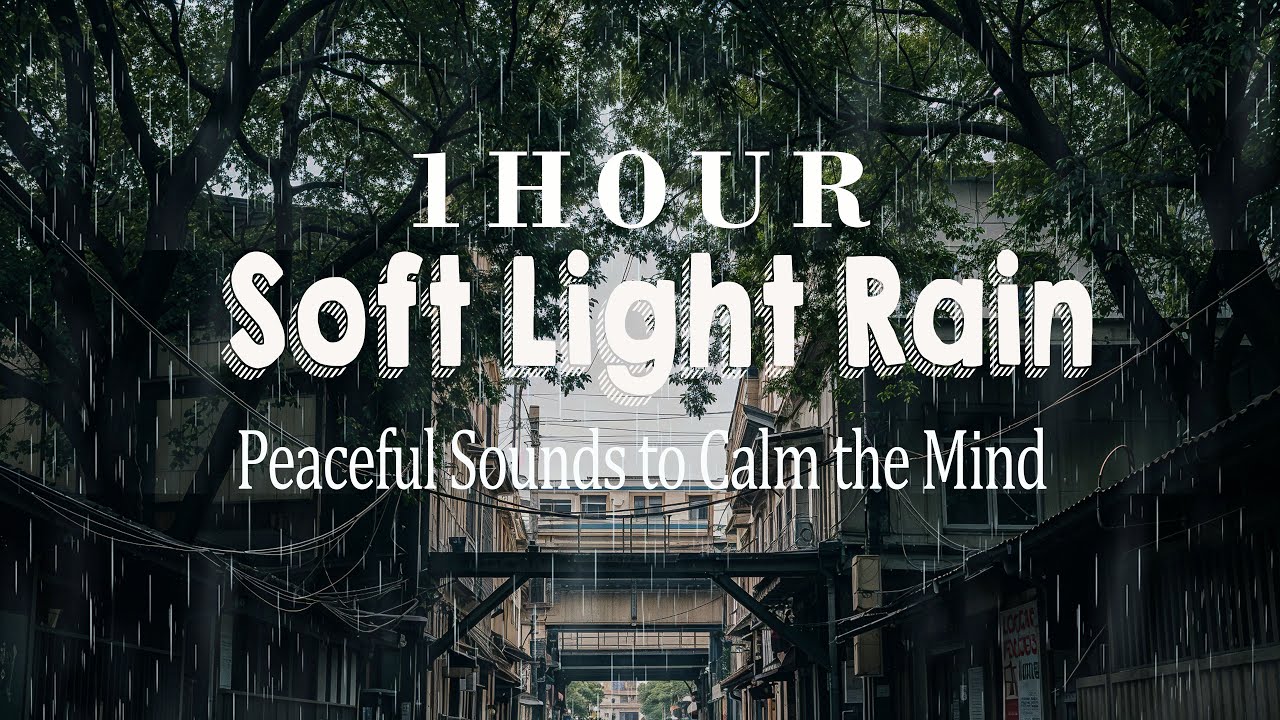 Calm Light Rain in a Quiet Alley | Soothing Sounds for Deep Sleep | 1 Hour