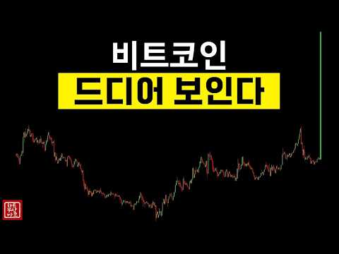비트코인 여기만 지지 해준다면 드디어 희망의 빛이 보일 수 있다. 8월 13일 오전시황 #마코 #리플 #이더리움 #차트무당 #bitcoin #나스닥 #가상화폐 #차트무당마코