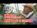 【DVDダイジェスト】竹内孝功さんの「動画でわかる自然菜園」