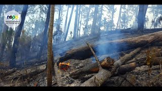 #NEPAandYou: Open Burning and Air Quality Television Feature
