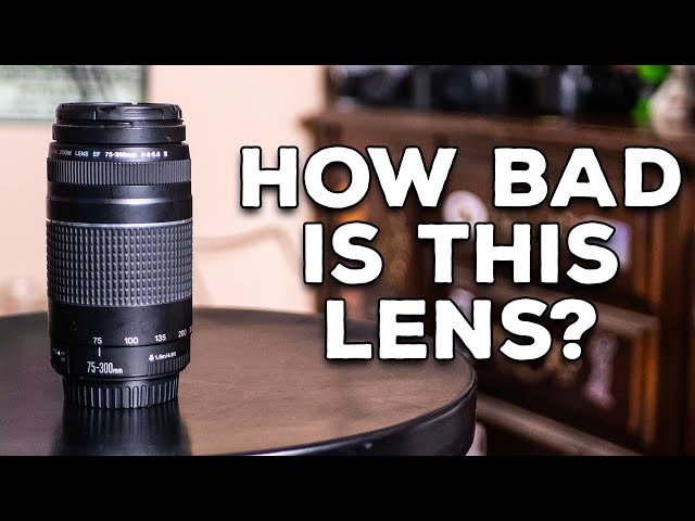 How Bad Is the Canon EF 75-300mm f/4-5.6 Lens?