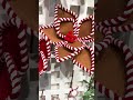 Raz 21" Set of 2 Gingerbread or Peppermint Poinsettias Christmas Tree Pick F4631080