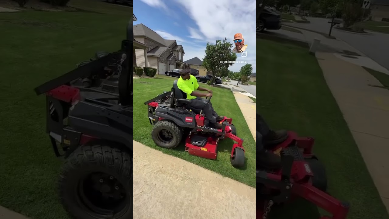 How to make your lawn great again!! 