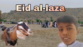 Eid al,laza Koy Salman ⛰️ tour |#viral