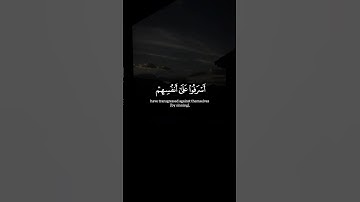 سعود الشريم | #سورة_الزمر #قرآن #القرآن_الكريم #قران_كريم #quran