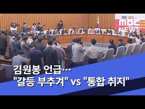 김원봉 언급…"갈등 부추겨" vs "통합 취지" (2019.06.07/뉴스데스크/MBC)