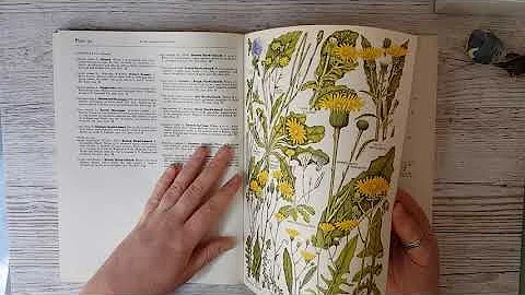 The Concise British Flora in Color / pour Junk Jou...