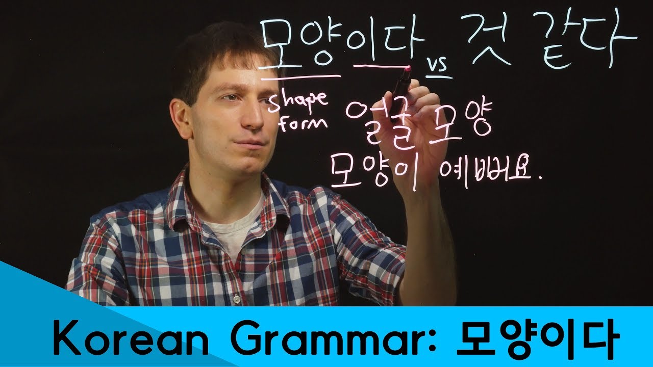 모양이다 - Intermediate Grammar | Korean FAQ