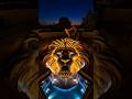 “Wait Till You See This Lion Pool 🦁😱” #ai #shortvideo #trending #trendingshorts #like #subscribe #ai