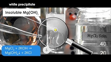 Does MgCl2 and KOH form a precipitate?| Magnesium chloride (MgCl2) + Potassium hydroxide (KOH)