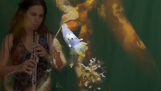 Ruth Gipps Seashore Suite Op. 3b for Oboe and Piano / Katherine Needleman; Jeff Bieber