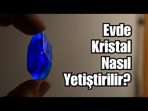 Video: Tatlı Bir Kristal Yetiştirmek