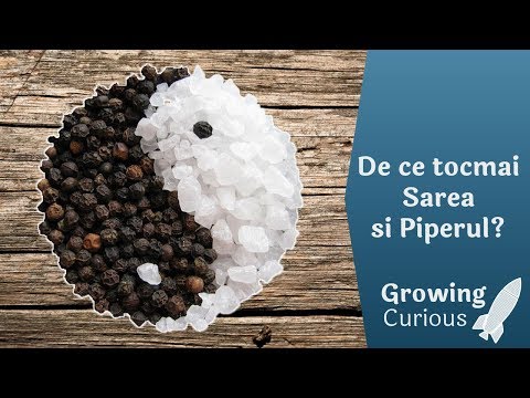 Video: Cum Se Separă Sarea De Piper