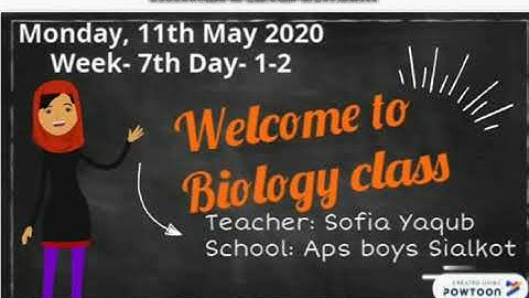 Data organization and data analysis. Solving a biological method