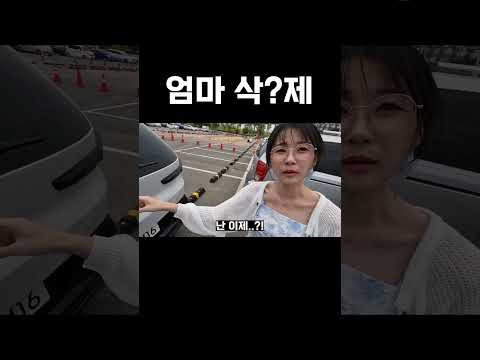정당한 패드립