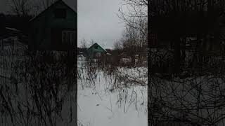 Старенькая дачка на участке 6 соток в СНТ Текстильщик гор. Карабаново Владимирской обл.#shorts
