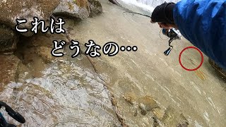 【渓流ルアー】アブガルシア MYSEN(舞閃) 50S のチカラは！？気温も上がって、魚の活性も上がってくるのか？？