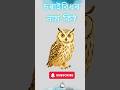 Birds Name in Assamese//#assam #assmese  #birdsnamewithpictures #birds