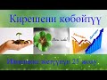 Кирешени көбөйтүү  Ийгиликке жетүү үчүн 25 кеңеш