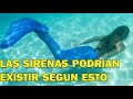 ¿Estás seguro de que las SIRENAS no son REALES? ¡MIRA ESTO!