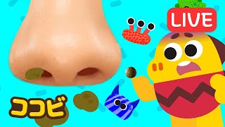 ココビ トイ- キッズおもちゃと童謡の配信のサムネイル画像