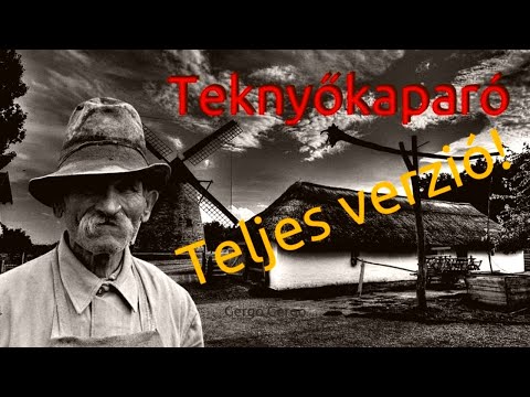 Videó: Van és megy a jóslat?