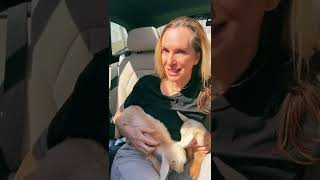 Social Security & Medicare cheat sheet link in my bio that explains the brackets in detail