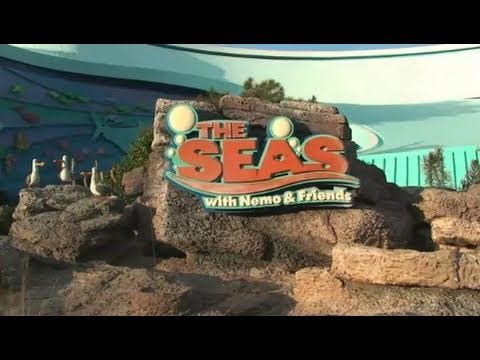 Video: The Seas with Nemo and Friends - Revista Disney World Ride